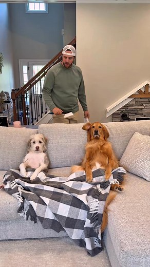 118K views · 4.6K reactions | #dogs #germanshepherd #shepherdlove #malinois #schutzhund #puppy #gsdofig #doglife. #asmr #foryou #dogsofinstagram #hundeaufinstagram #hunde #dog #love | Gloria Santachiara | Facebook