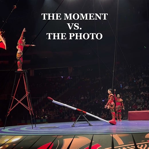 Capturing all the best Ringling Bros. and Barnum & Bailey moments. | Prudential Center