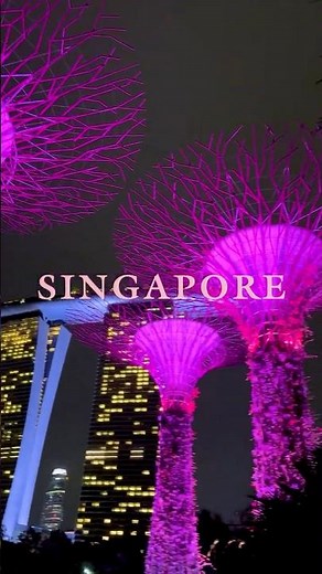 BLACKPINK WORLD TOUR [DEADLINE] IN SINGAPORE 🌸 #BLACKPINK #WORLDTOUR #DEADLINE_IN_SINGAPORE