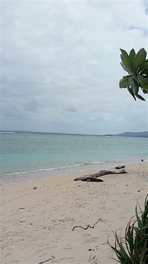 【海】中野海岸 西表島 nakano star sand beach 沖縄 サンゴ 干潮 blue sea & sky ヤドカリ 魚 貝 Iriomote island 癒し relax ヤドカリ