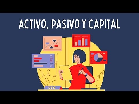 Activo, pasivo y capital (Contabilidad básica)