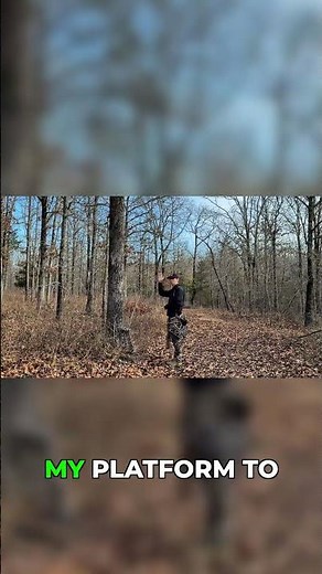 Tree Selection & Stick Placement for Saddle Hunting