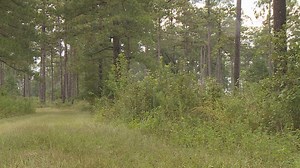 Brooks County Board approves permit for new solar field