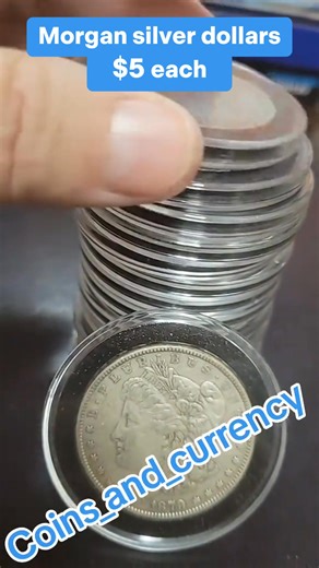 🦅 1878-1921 Morgan Silver Dollar Full Set of 28 - Witnessing the glorious legend of the first century. This set of coins runs through the golden age of the American financial system, and each one depicts the mark of freedom and hope. From the Statue of Liberty to the eagle with spread wings, the Morgan silver dollar is not only the pinnacle of hard currency, but also carries the grand epic of western development and national rise. Now more than 90% have been lost, and the complete set of 28 pie