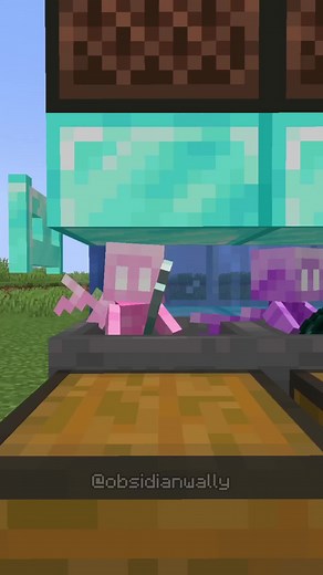 Allay Sorting System in Minecraft: Step-by-Step Guide