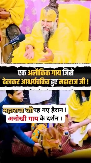 प्रेमानंद जी महाराज जी ने देखी अनोखी गए #cow #PremanandJi #dinara #bhagti #bhajan #shorts #dinara
