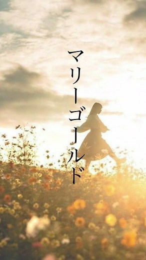 #あいみょん#マリーゴールド#歌詞動画#ライブフル#Alice
