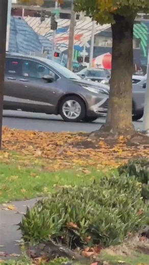 231K views · 2.7K reactions | At least 10 shots were fired in SODO, and suspect with an axe and a firearm was killed by Seattle police, officials say. | KING 5 | Facebook