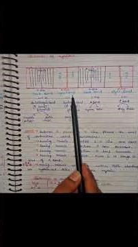 structure of MYOFIBRIL and muscle contraction PART 1 #MEDICOCOLEARNER#ytshorts #