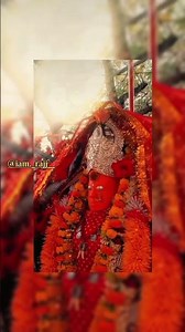 जय माता दी 🙏🏻🌿💯🌎 #anujsharma #29livecg #viral #cgshorts #chhattisgarh #navratrispecial #song