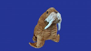 Walrus Plushie - Download Free 3D model by DrawnWild