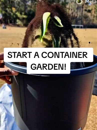 Container Gardening: Grow Your Plants in Small Spaces