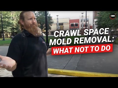 The Surprising Truth About Crawl Space Mold Treatment
