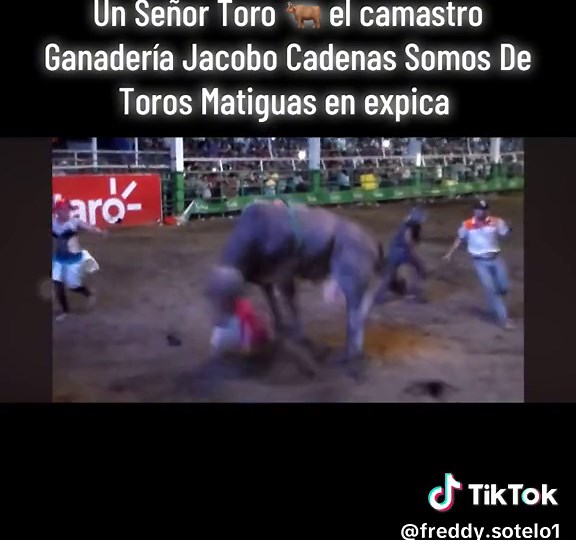 El Camastro: Ganadería Jacobo Cadenas en Matiguas