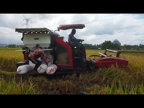 Mobil Combine, Mesin Panen Padi Canggih yang Hemat Waktu & Tenaga