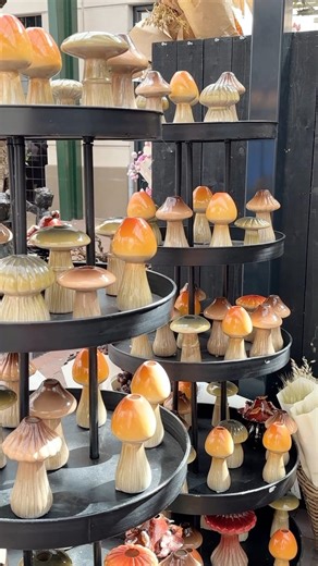 Intratuin Duiven | HERFSTDECORATIE🍂🍄 De eerste tekenen van de herfst zijn er… en met onze paddenstoelen decoratie haal je dat knusse seizoen meteen in huis!... | Instagram