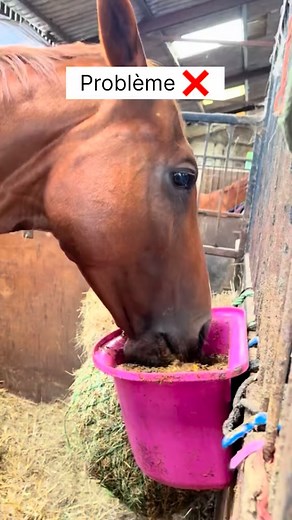 212K views · 16K reactions | Problème ❌ Repas fractionnés en trop...