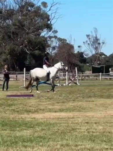 lex (@lex.sandmann)’s videos with original sound - 🩷🩵💙🩵💙🩷