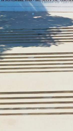 222 years after Vertières, the echo of freedom still calls us. On November 18th, our ancestors shattered the chains of slavery with courage and unbreakable resolve. Today, a new battle awaits, not on the battlefield, but within our minds. We must free ourselves from the invisible chains of doubt, division, and inherited trauma. By honoring our history, embracing our strength, and believing in our own power, we continue the revolution they began. The spirit of Vertières lives in us. Let it guide 