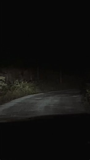 Halloween and Día de los Muertos are just two weeks away… and there’s a Bad Moon on the Rise! 🌕 Watch the official Bad Moon Rising (John’s Version) lyric video now available in English and en Español from the new album Legacy. Link in bio. | John Fogerty