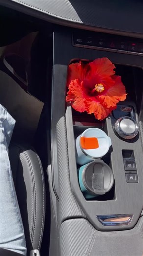 Discover the Benefits of Xploris Tumblers with Tayla