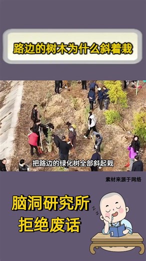 路边的树木为什么斜着栽#社会百态 #人類迷惑行為 #万万没想到 #涨知识 #冷知识 #youtube精选 #youtubeshorts