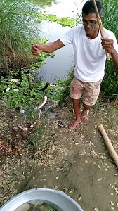Ibang klaseng isda yung sumabit sa bingwit | W Bush Tv
