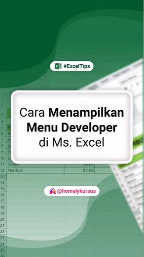 Cara Menampilkan Tab Developer di Microsoft Excel