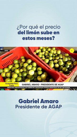 🇵🇪🍋‍🟩 Variación en el precio del limón responde a ciclo natural de la producción El presidente de AGAP, Gabriel Amaro, explicó que el reciente incremento en el precio del limón en Lima y el norte del país no obedece a una escasez por factores climatológicos, sino al comportamiento estacional del cultivo. "El limón se cosecha durante todo el año, pero en agosto, septiembre y octubre la producción baja, lo que reduce la oferta y eleva temporalmente los precios. Es un ciclo normal del mercado y