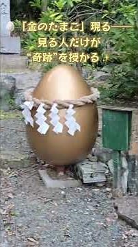 見た瞬間“金運の扉”が開く静岡・大窪神社の『金のたまご』に選ばれし者だけが奇跡を体感する🐣【開運 金運 家内安全】#遠隔参拝 #スピリチュアル #大窪神社 #パワースポット神社 #運気上昇 #神様