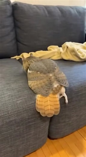 Explore Adorable AI-Generated Fairy Animals