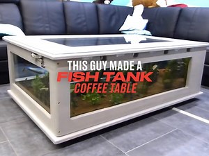 872K views · 5.3K reactions | This guy made the ultimate living room centrepiece from scratch - a coffee table aquarium  Greg's Puzzle Page | LADbible | Facebook