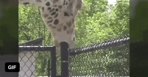 Practice makes perfect - GIF