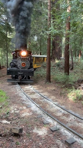Roaring Camp Shay Belches Thick Smoke around a curve