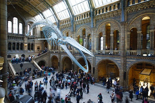 The Best Natural History Museums in the World: Bones, Stones, & Questionable Taxidermy - Tiqets Blog