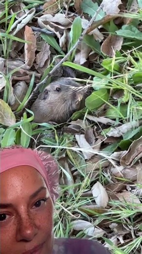 Little Kid Calls a Gopher “Cute and Ugly” Then Starts Feeding It 😂