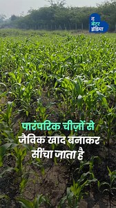 86K views · 1.3K reactions | इन्वेस्टमेंट बैंकर प्रफुल्ल और उनकी शेफ...