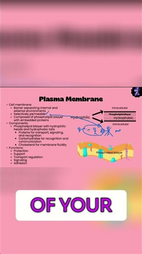 Cell Membrane: The Gatekeeper of the Cell Explained!