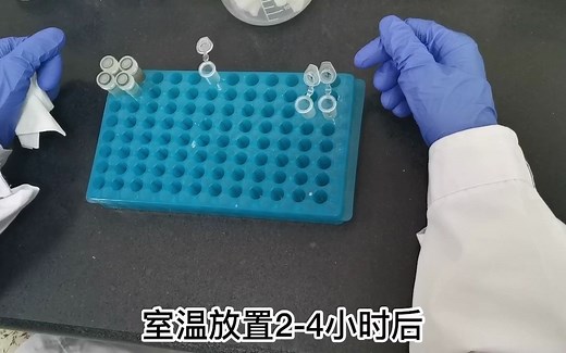 环境样品总DNA和RNA的提取和纯化