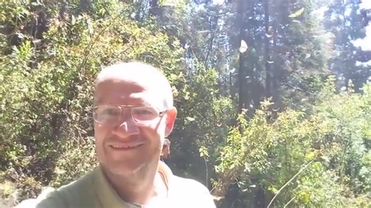 Ready for the Monarch Butterfly season! 💓🇲🇽🦋🦋🦋 | Azteca Travel Tours Art / Aztec Explorers