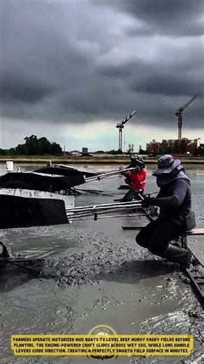 Leveling Wet Muddy Fields using a Motorized Mud Boat - Good Tools and Machinery in Daily Work