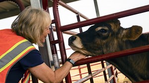 Behind the lines of red-hot wildfires, volunteers save animals with a warm heart and a cool head