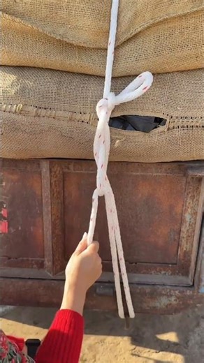 Efficient fixing using loops #knot #KoreanTraditionalKnot #knowledge #rope