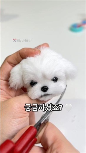 '안 먹었는데요?' 말티즈는 이렇게 만들어졌어요🐶 모루인형