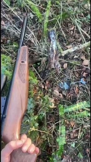 BSA Lighting XL SE Air Rifle