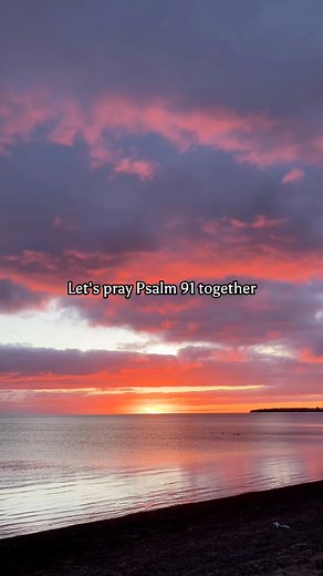 2.4M views · 146K reactions | Prayer for protection. “Psalm 91” #prayers #believe | Blossom Heart | Facebook