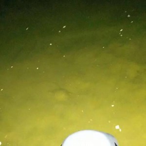 1.4K views · 21 reactions | Some really clear water and a bit of...