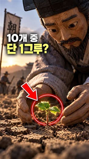 목화씨 10개 중 9개가 말라 죽고 남은 '단 1그루'의 기적