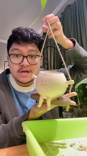 5.6K views · 551 reactions | This is sooo cute! Hello! My name is Juni and this is my plant journey! Follow me for more! Juni.Plants on every social! . . . . . #plants #plant #plantparent #plantsofinstagram #plantoftheday #aroids #rareplants #aroidplants #allocasia #monstera #philodendron #juniplants #planttips #anthuriums #pothos #plantcareisselfcare #plantcare101 #planttipsandtricks | Juni.Plants | Facebook