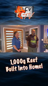 1.1K views · 57 reactions | CoralVue visited @georges_rainbow_reef ... a 1,000 gallon reef system built right into the house!  This stunning display runs on tons of HYDROS automation and Reef Octopus equipment, making it as functional as it is beautiful. What a dream setup to see in person! Watch the full episode of the CVtv tour on CoralVue YouTube! #HYDROS #ReefOctopus #CoralVue #ReefTank #SaltwaterAquarium #ReefAquarium #RAPCalifornia | CoralVue | Facebook